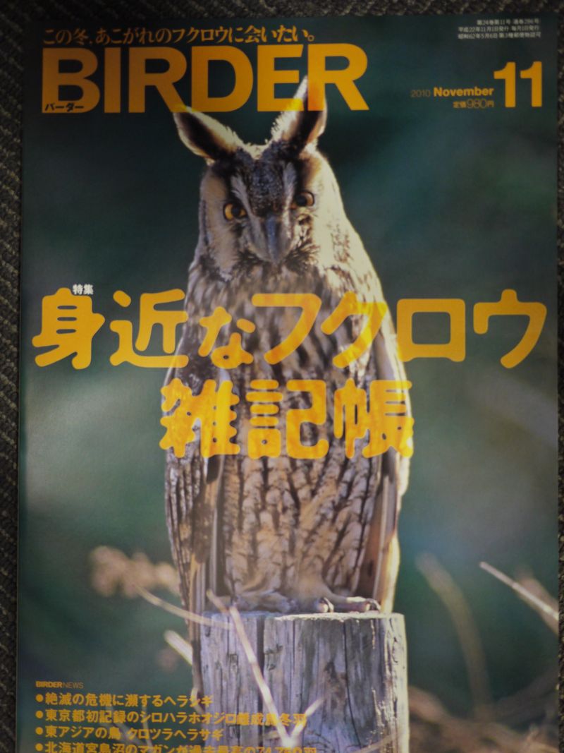 フクロウ